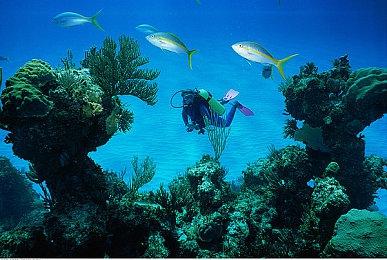 《刀剑乱舞无双》第三弹PV公布 2月17日正式发售